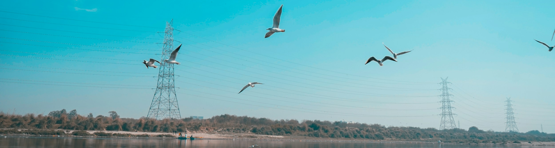 Fleet Services